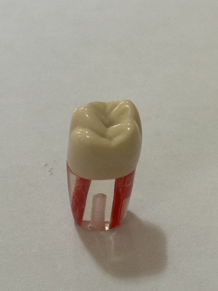 Endo Tooth #16 For ADC MODEL (10 Pack)