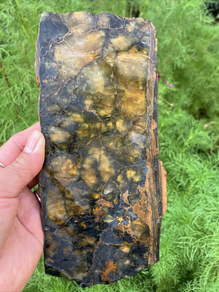 Nellite Slab (South Africa)