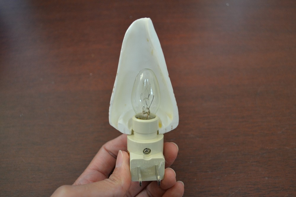 SPOTTED BANDED CONUS SEA SHELL NIGHTLIGHT #S7-251