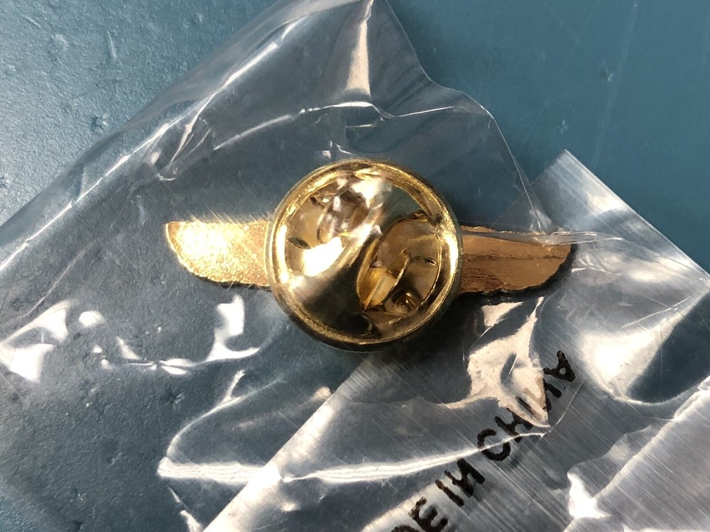 Mini EMS Flight Wings