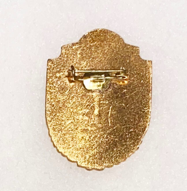 Romanian Para Airborne Badge