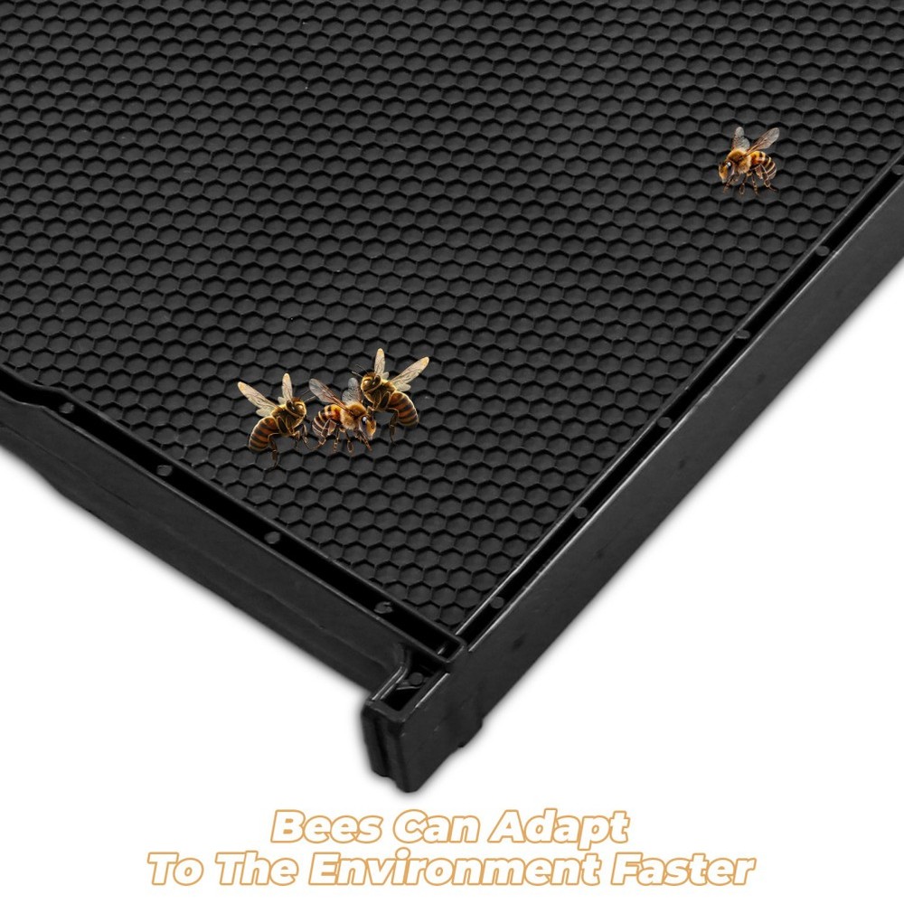 Beehive Frame with Black ABS Plastic and Wax Foundation for Beekeeping Use