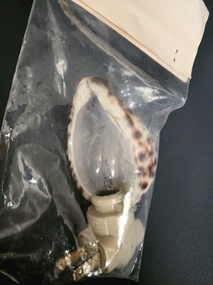 International Craft Seashell Nite Lite