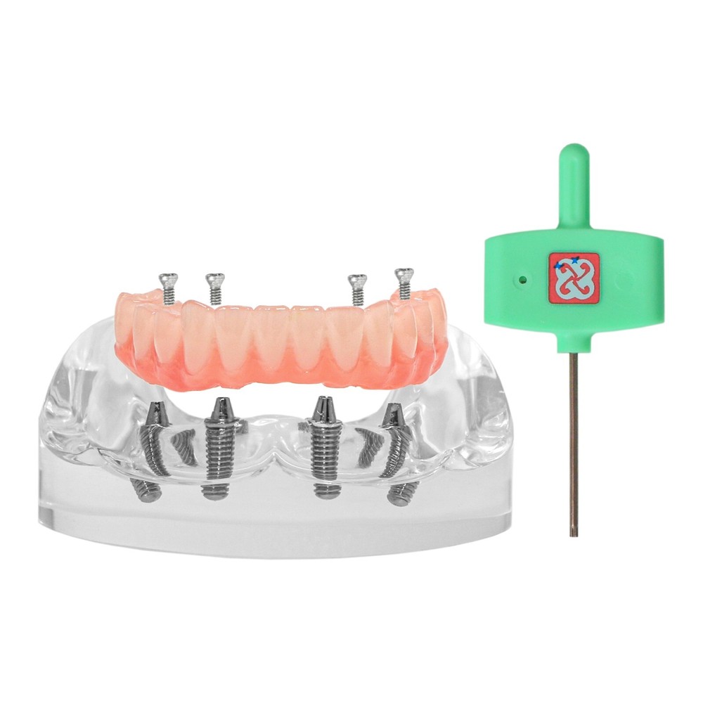Dental Multi Typodont Teeth Model for Implant Pathological Restoration Practice