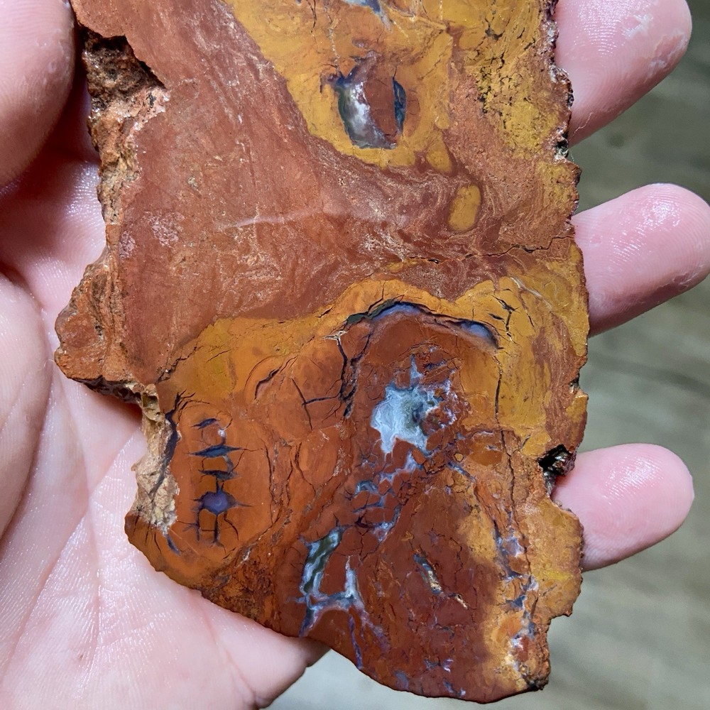 Beautiful Large Red Plume Agate Slab 5.36 Oz