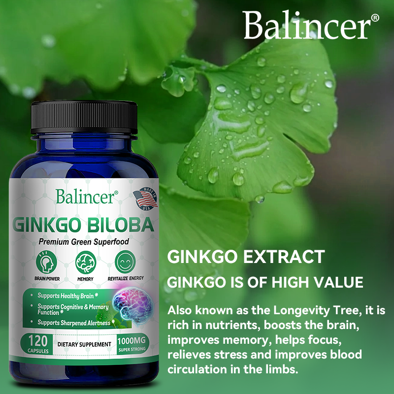 Ginkgo biloba capsule 1000 mg Memory Cognitive function Blood circulation