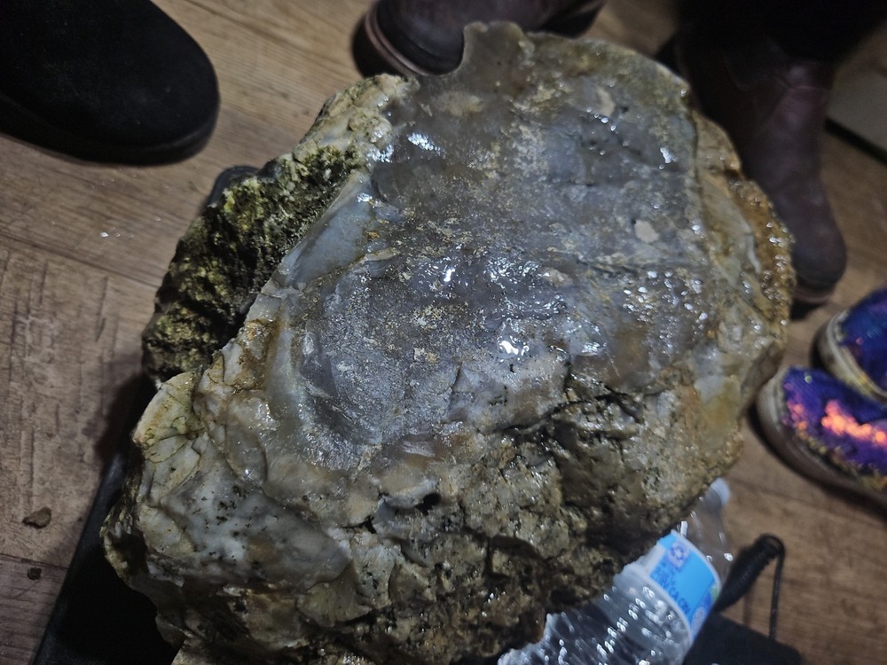 Petrified Palm Tree Root Specimen (36lbs 12oz)