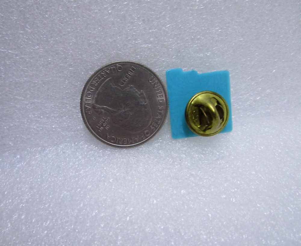State Of New Mexico Plastic Pin