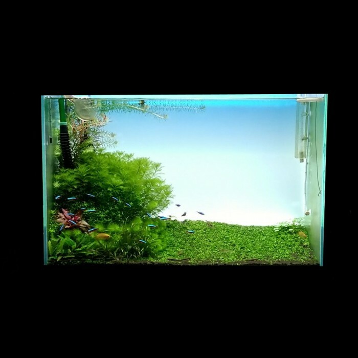 MML 90x45 Aquarium LED Light Screen backlight back light for scapes ADA DET