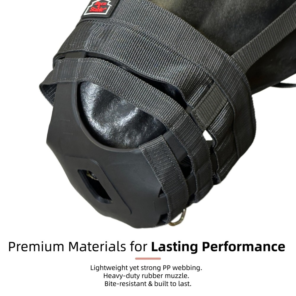 BARN & STABLE Horse Grazing Muzzle for Easy Breathe, Comfortable Muzzle Grazing