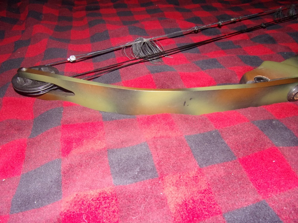 Darton WH300 Compound Bow