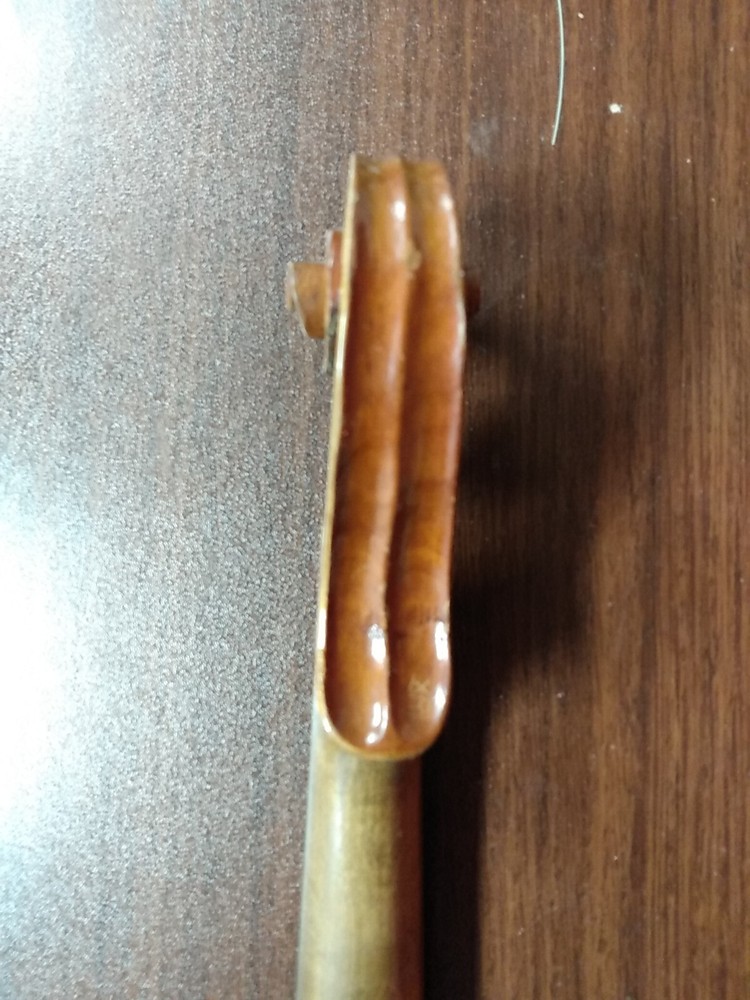 Nice Bohemian Violin