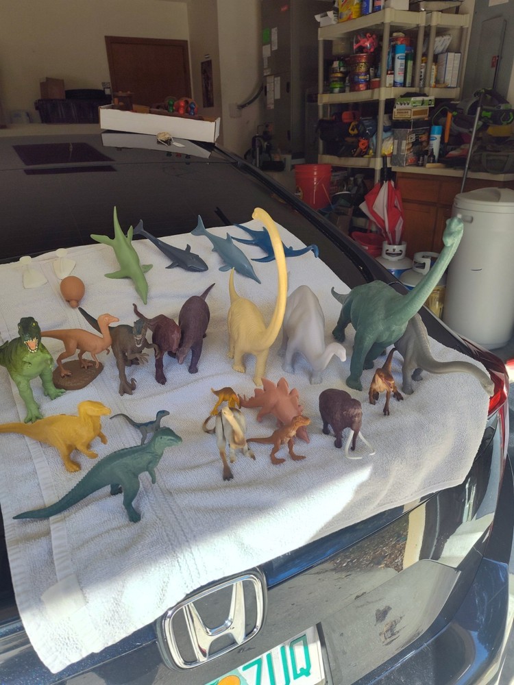 23 Hard plastic Dinosaurs various sizes