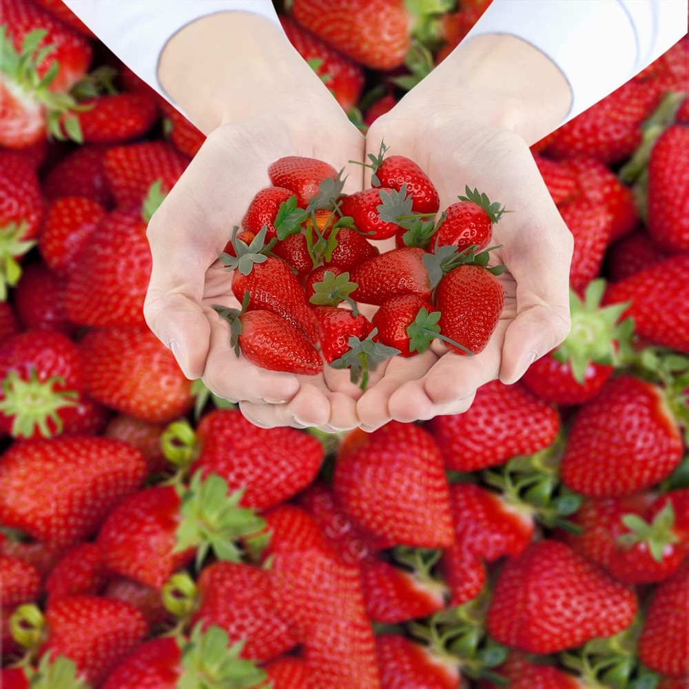 Happy Trees 30 Pieces Artificial Strawberries Assorted Size,