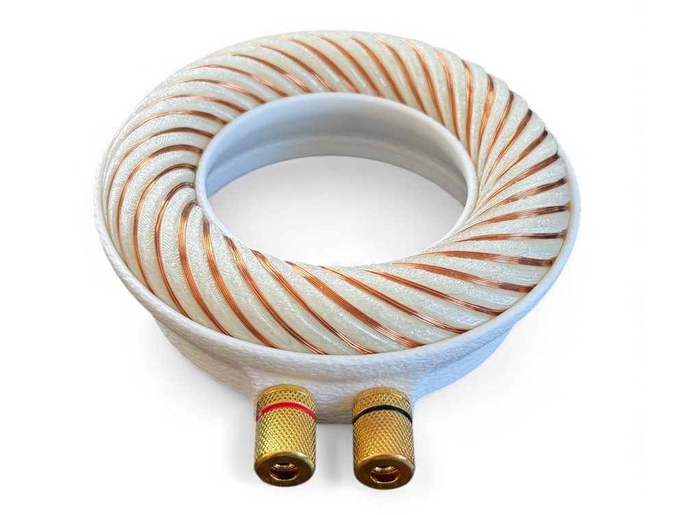 Rodin coil Scalar Wave toroidal field generator module
