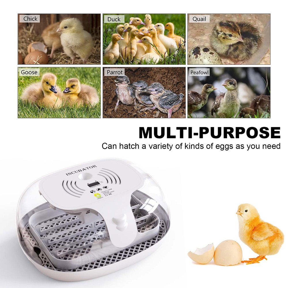 16 Eggs Incubator Automatic Hatch Chicken Duck Egg Turner with Auto Adding Water