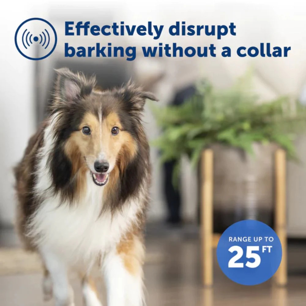 PetSafe - PBC-1000 - Indoor Bark Control