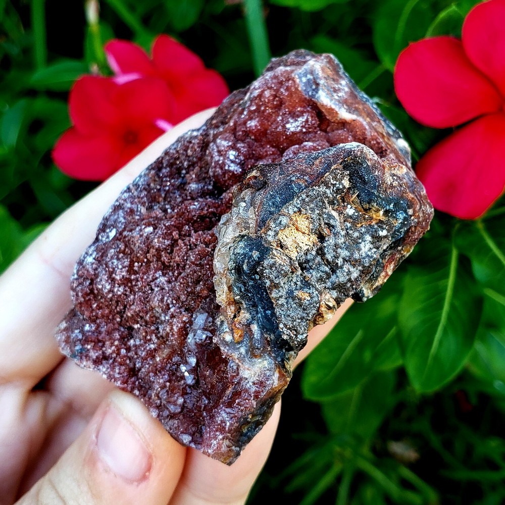 Fossilized Agate shell Cluster druzy natural crystal healing gemstone - #3