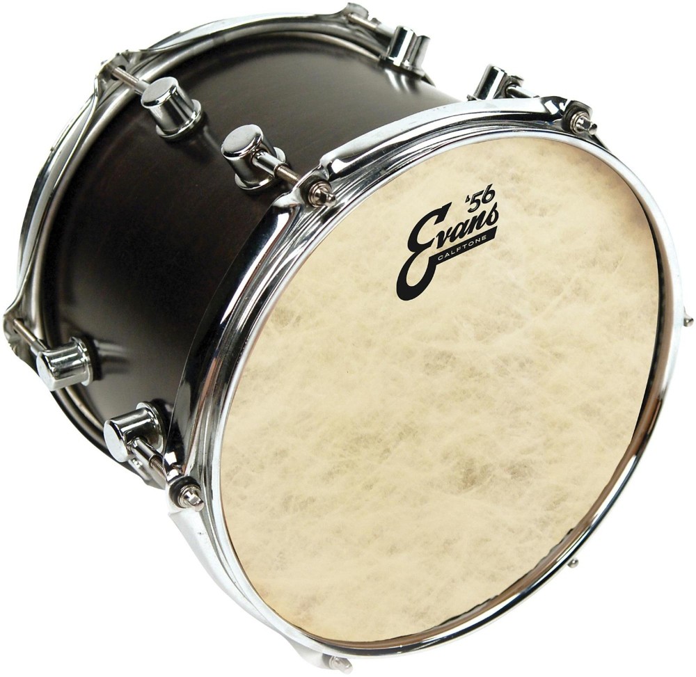 Evans Calftone Drumhead 12 in.