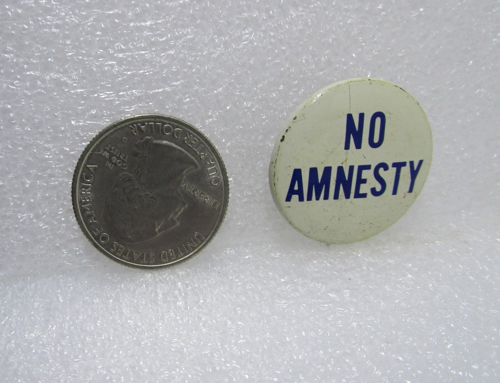 No Amnesty Button Pin