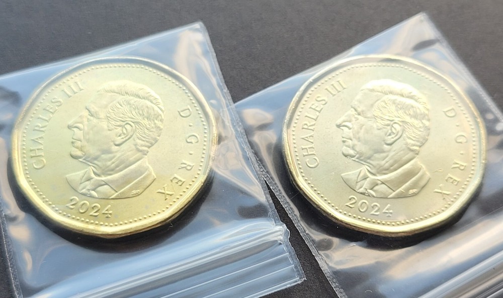 *** CANADA COMBO LOONIE 2024 MONTGOMERY *** FROM MINT ROLL ***