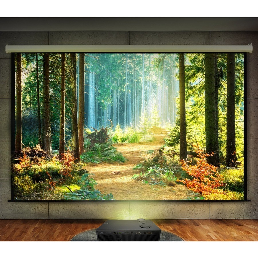 Asus H1 3D DLP Projector - 16:10 - Black