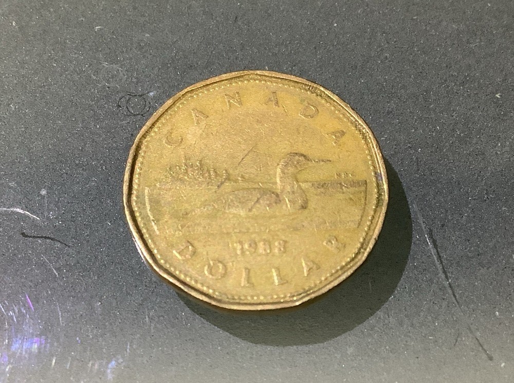 Canada 1 Dollar 1988 Circulated