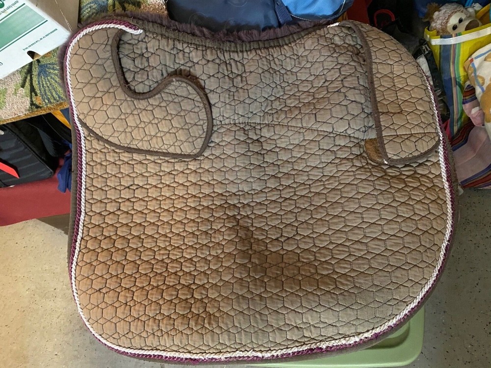 Reactor panel dressage saddle-Size 18 with adjustable points. Good condition! 