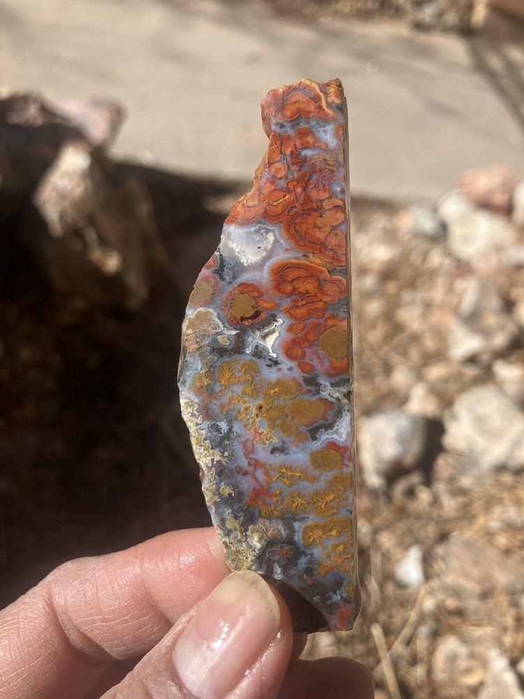 Wingate Agate Slab