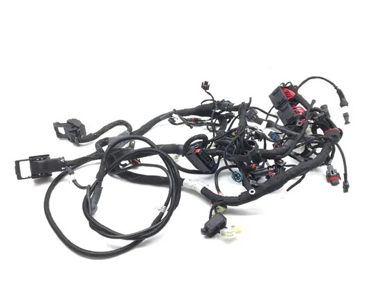 Main Engine Wiring Harness 2017 Ducati Multistrada 950 2866A