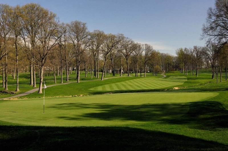 Penncross Creeping Bentgrass Seeds - 4 Lbs.