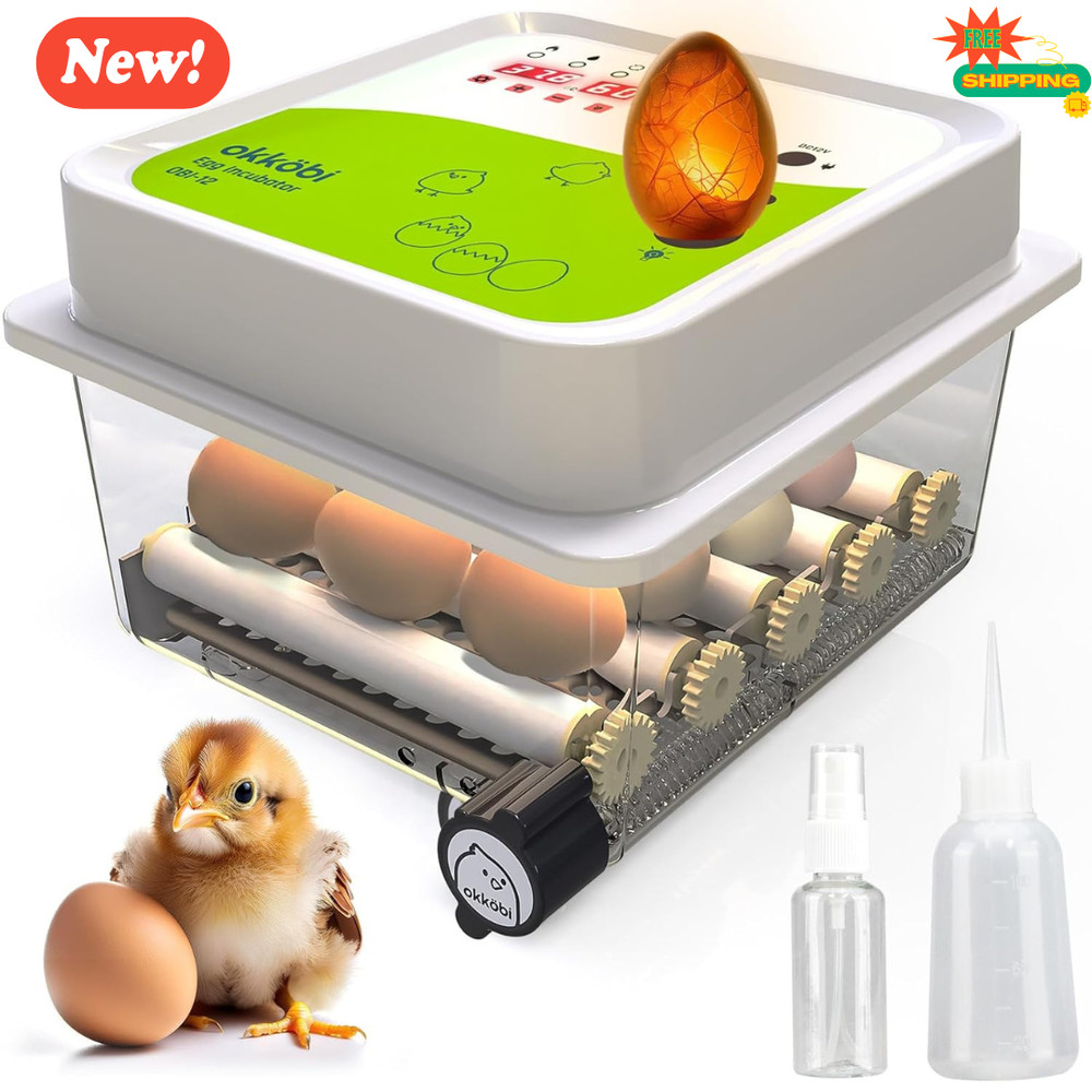 12 Eggs Incubator with Automatic Egg Turning and Humidity Control - New