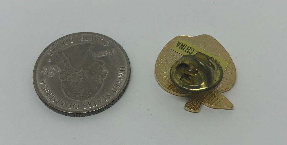 Together We Can Apple Pin