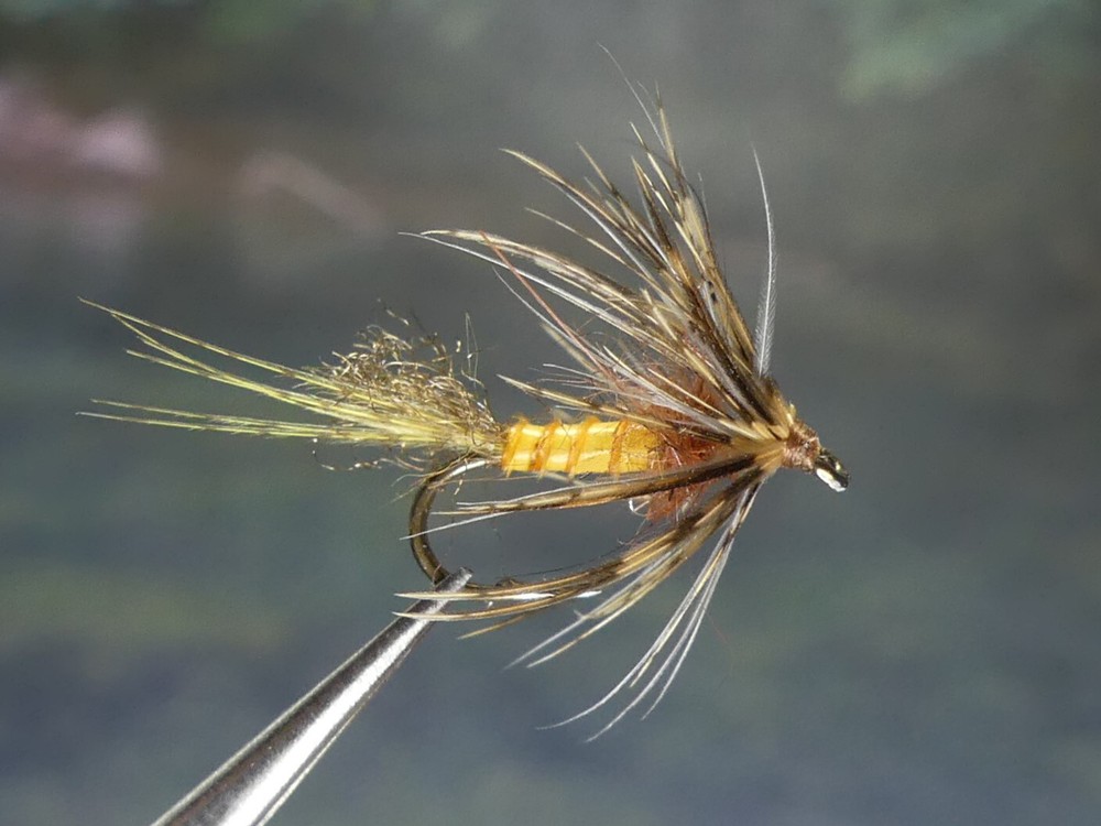 6 Flies - Tiger Nymph