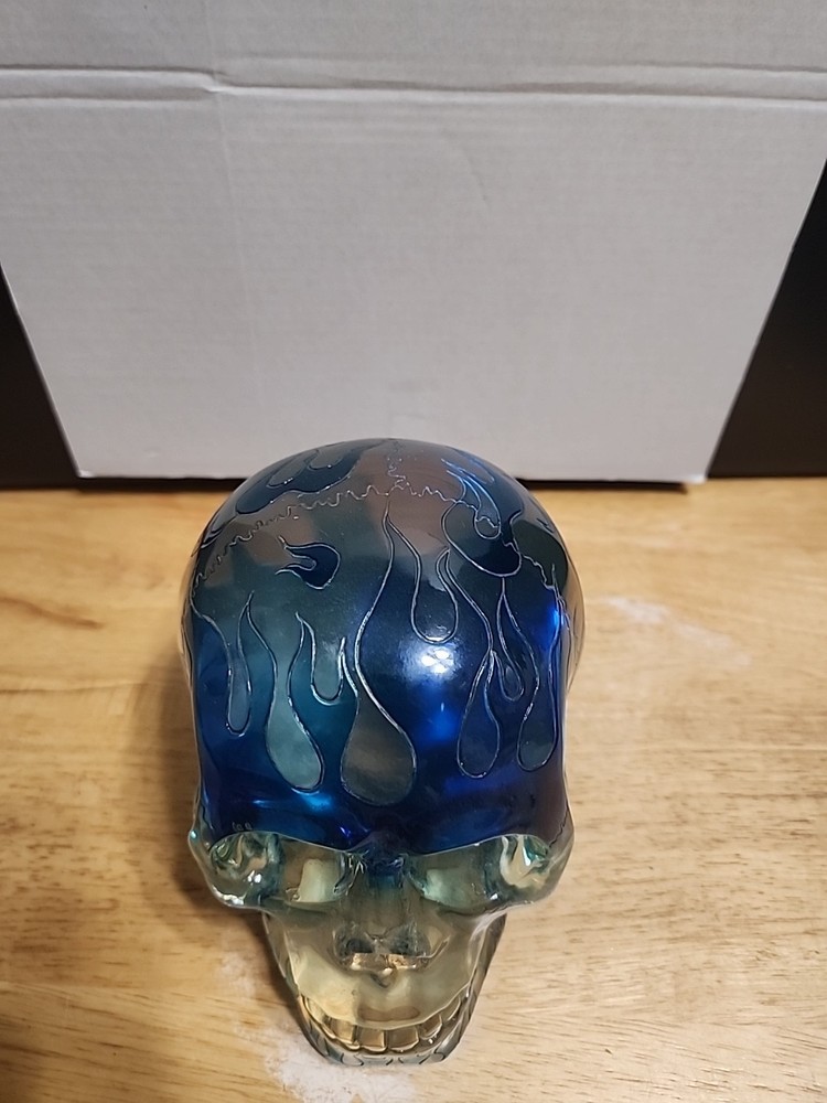 Translucent Resin Skull