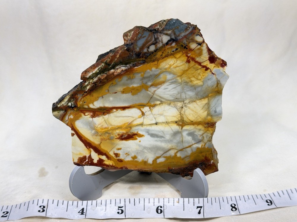 Choice Dead Camel Jasper Slab, Lot#388