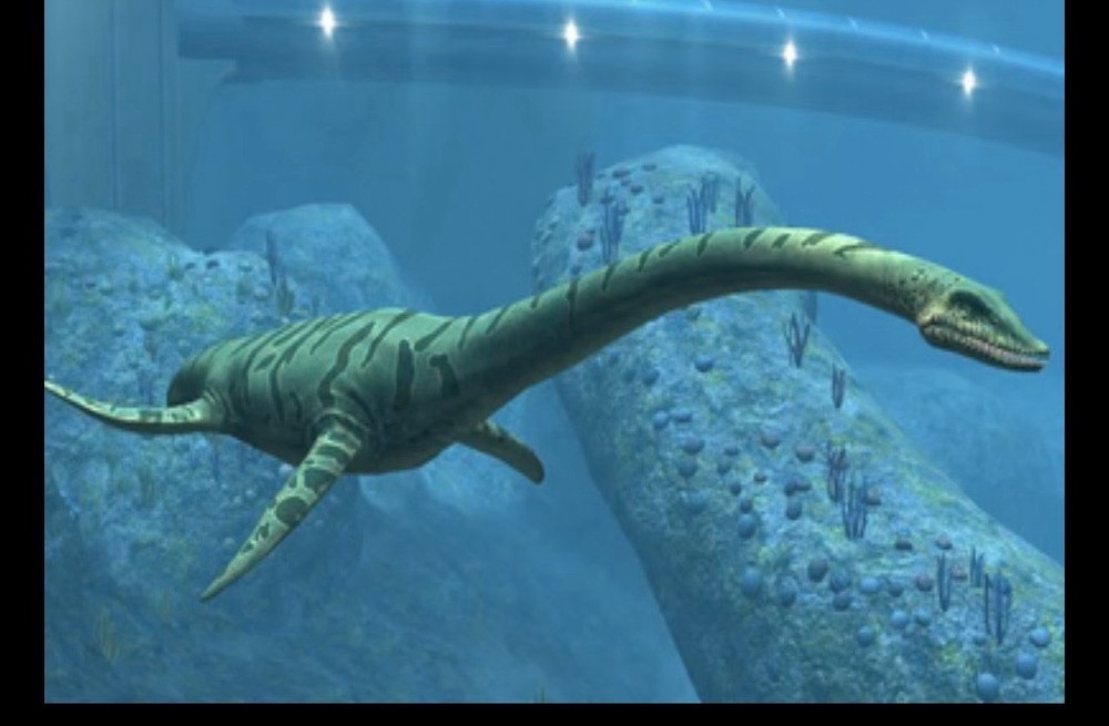 Elasmosaur Vertabrea Fossil 9” Tall Excluding Base Plesiosaur Cretaceous