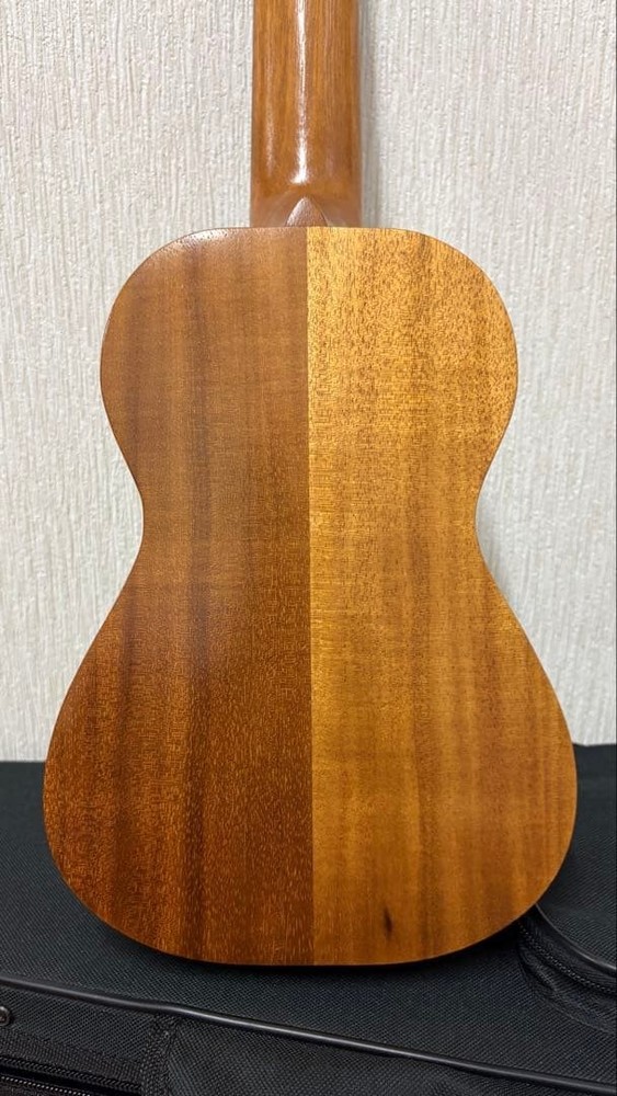 Mana ukulele gear peg pickup with hard case