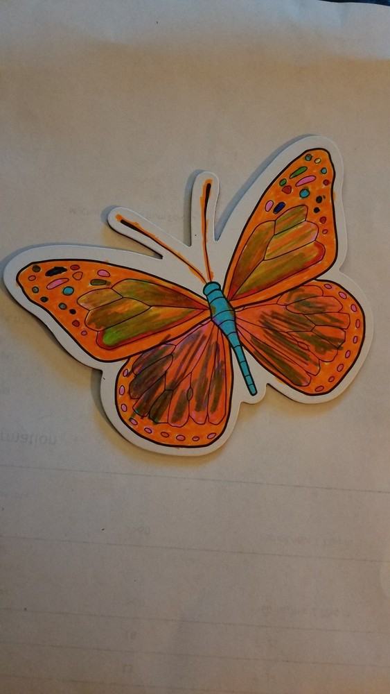 1 Magnet Handpainted Orange Cute! beautiful Butterfly Refrigerator office