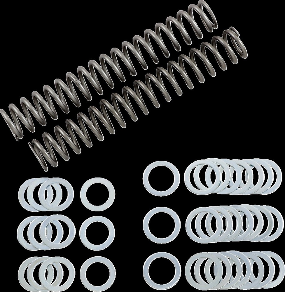 Race Tech Fork Springs 1.1 kg/mm FRSP S3825110