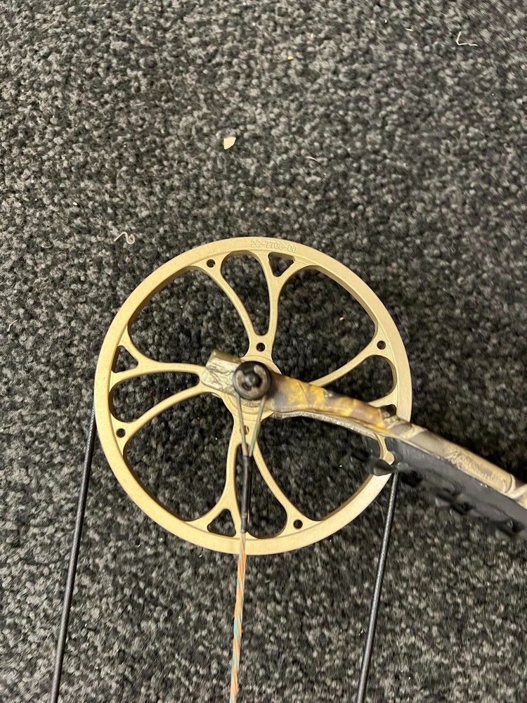 bear approach compound bow