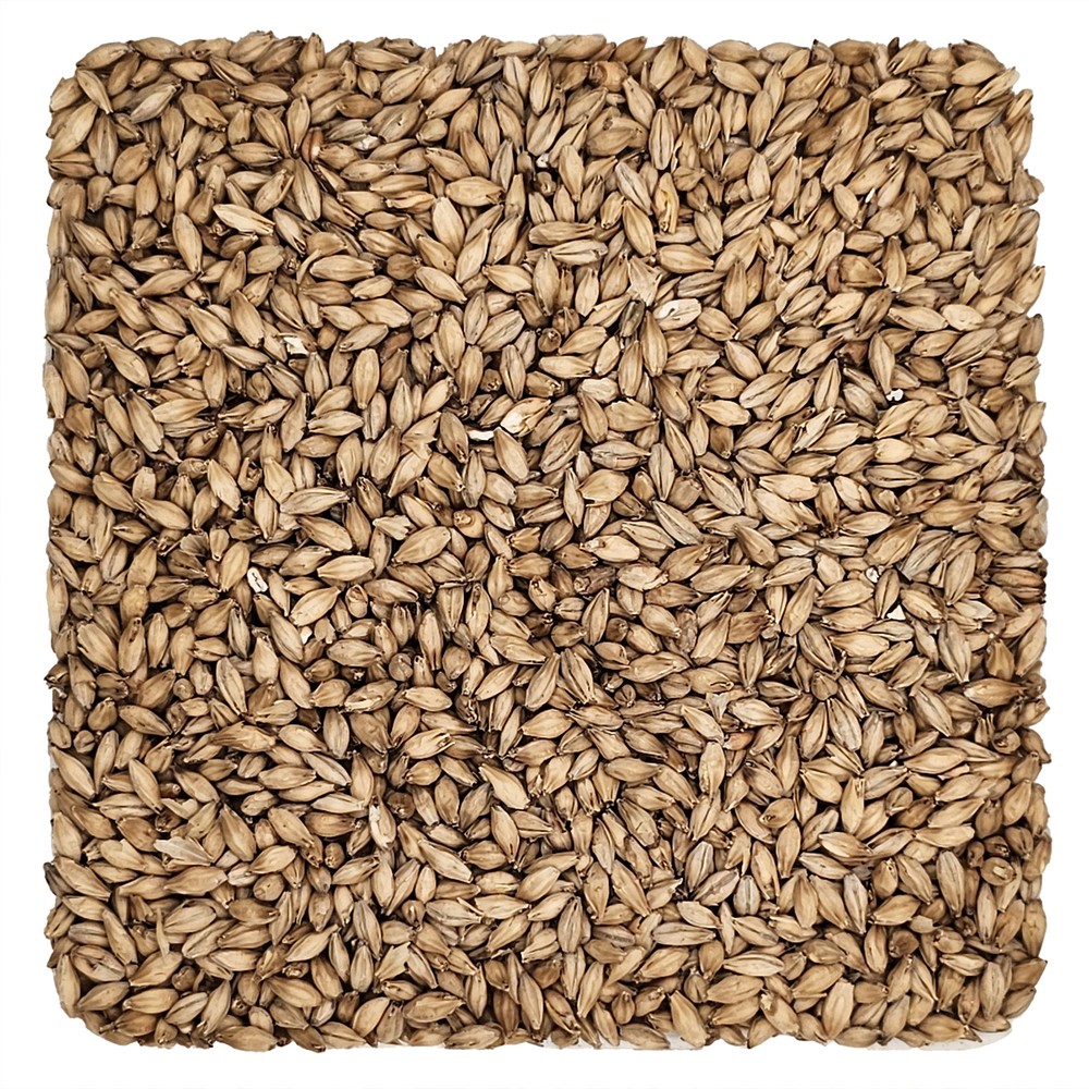 Home Brew Ohio 6-Row Grain 55lb