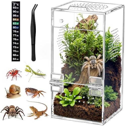 Pre-Assembled Jumping Spider Enclosure, Acrylic Small (3.5"×3.5"×7") Vertical