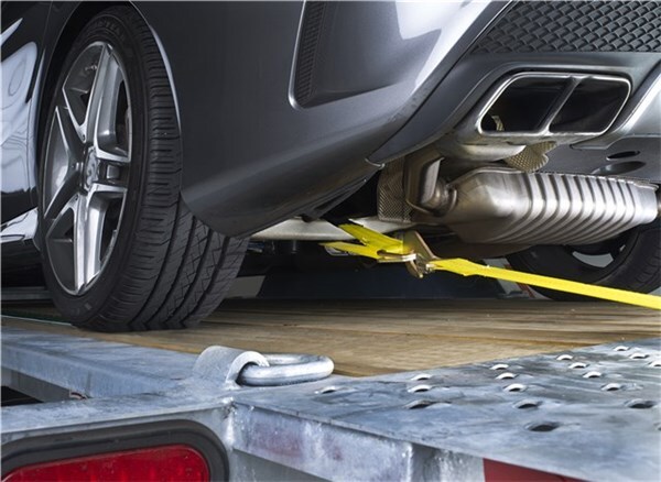 HAMPTON PROD 24' AXLE STRAP D-RING SLEEVE- 04226