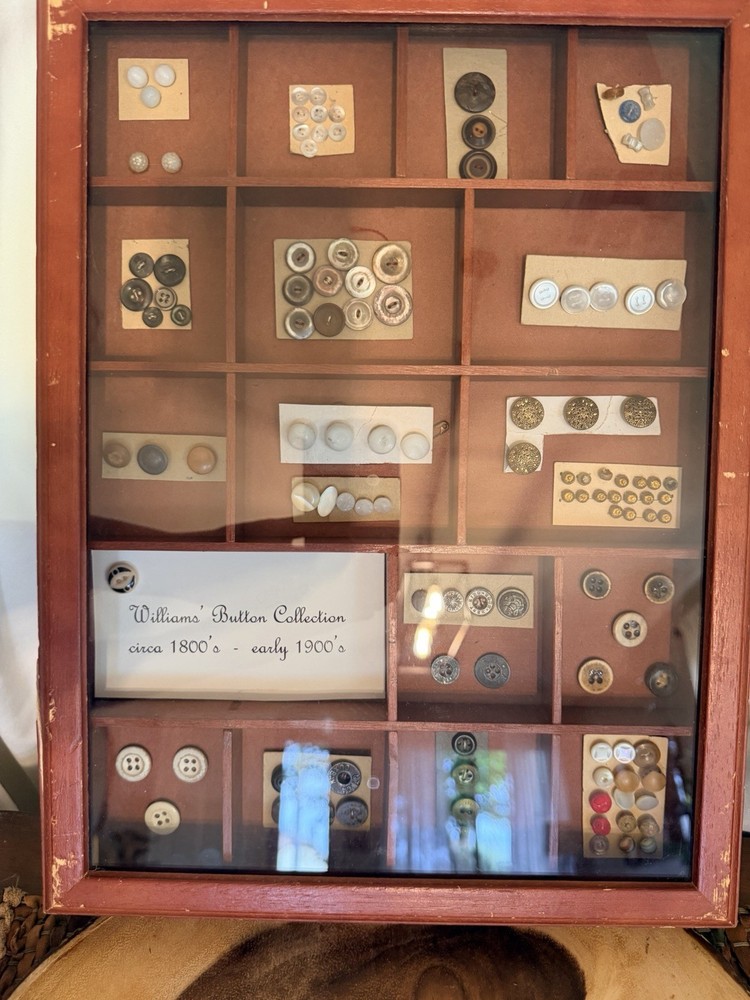 Williams Antique Original Button Collection Assorted Multicolor Round Pre-1930