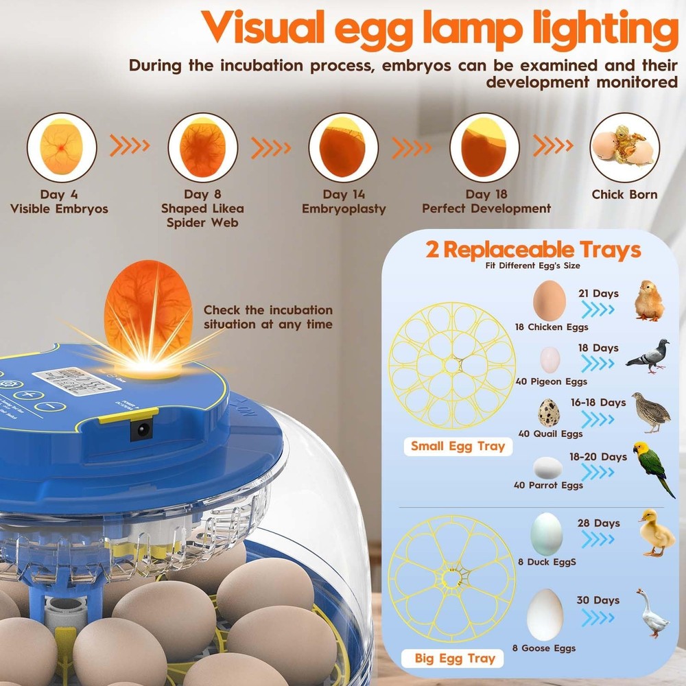 Incubator for Hatching Eggs-18 Egg Incubator with Automatic Egg Turning and H...