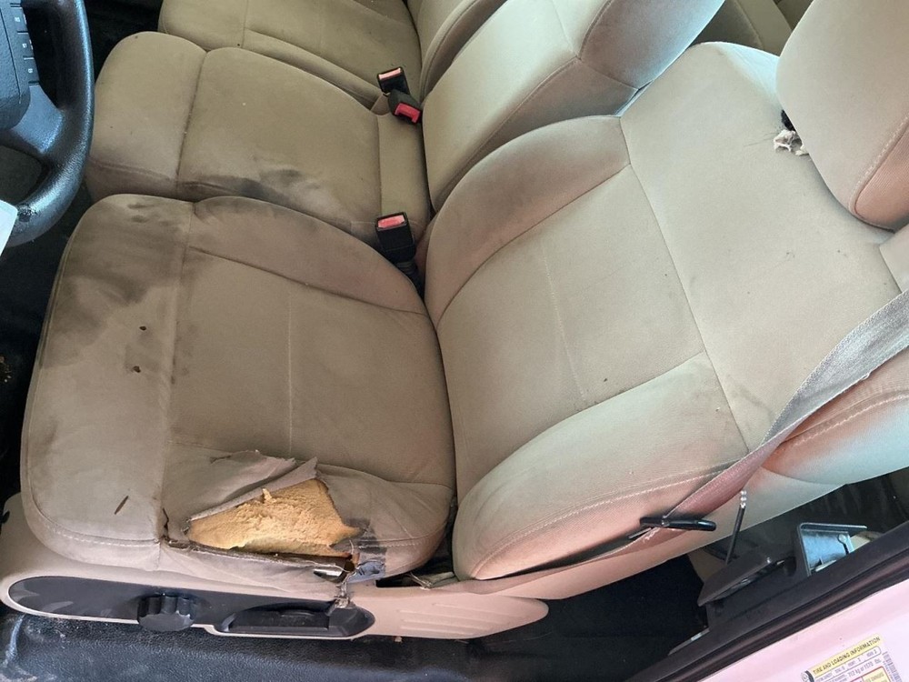 F150 2007 Glove Box 4734166