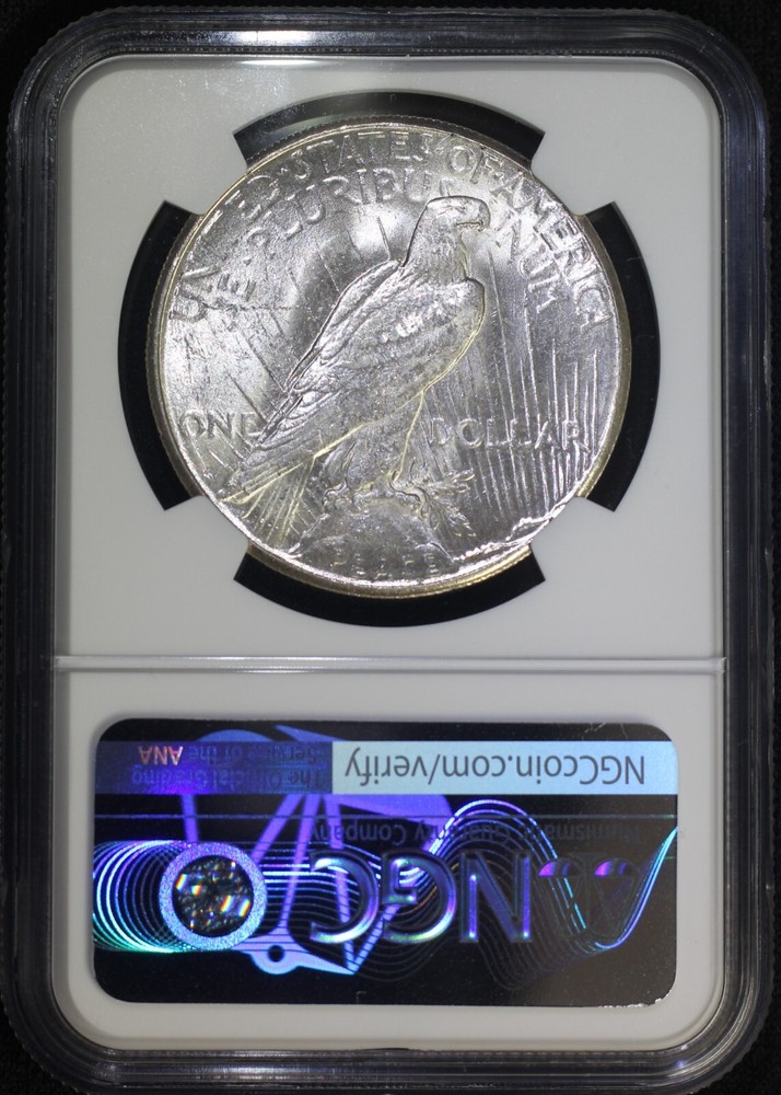 1925 S Peace Silver Dollar NGC UNC Details - Reverse Damage (Scrape) Lustrous