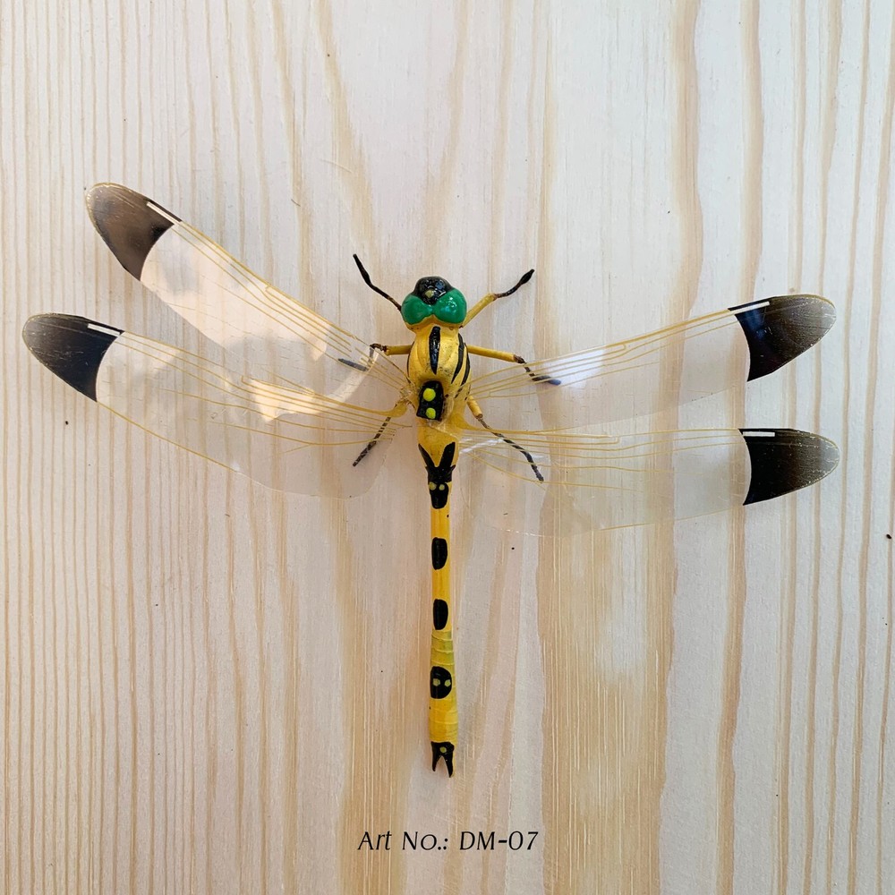 Dragonflies with Magnets