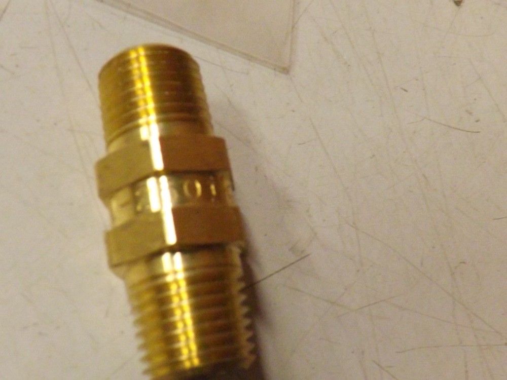 Generant 250 psi Inline Brass Male Check Valve